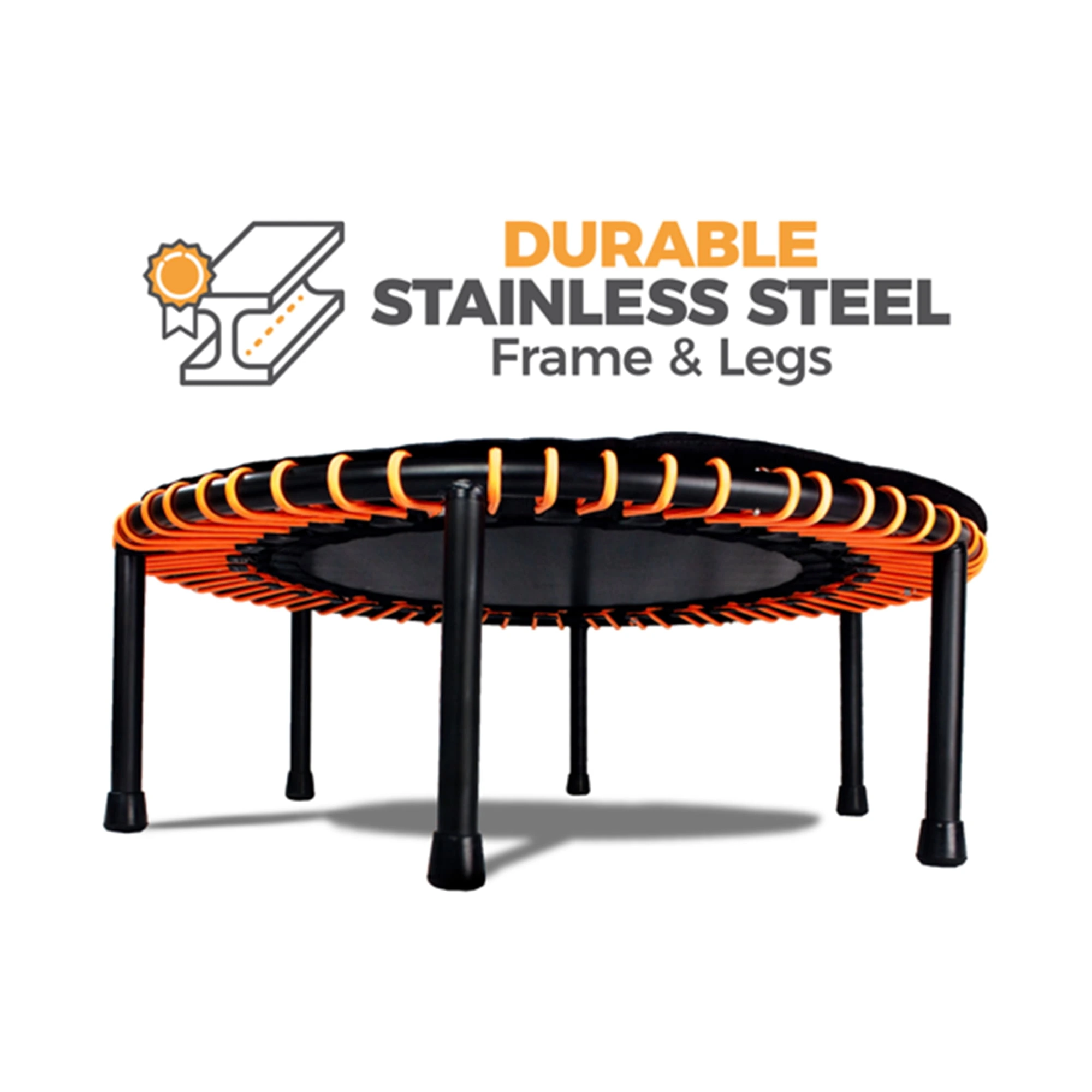 The Leaps & ReBounds Fitness Trampoline - Bungee Rebounder - Image 2