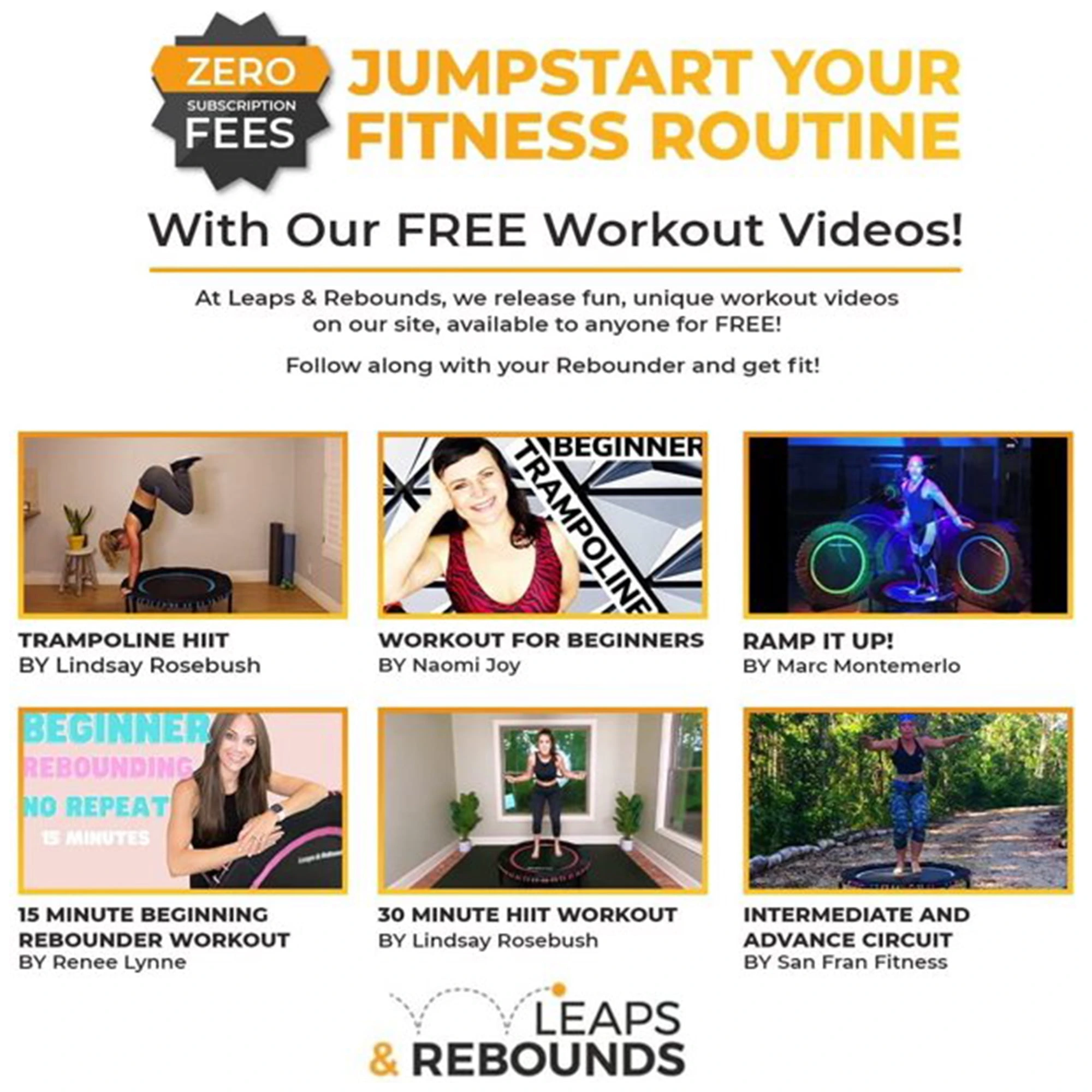 The Leaps & ReBounds Fitness Trampoline - Bungee Rebounder - Image 9