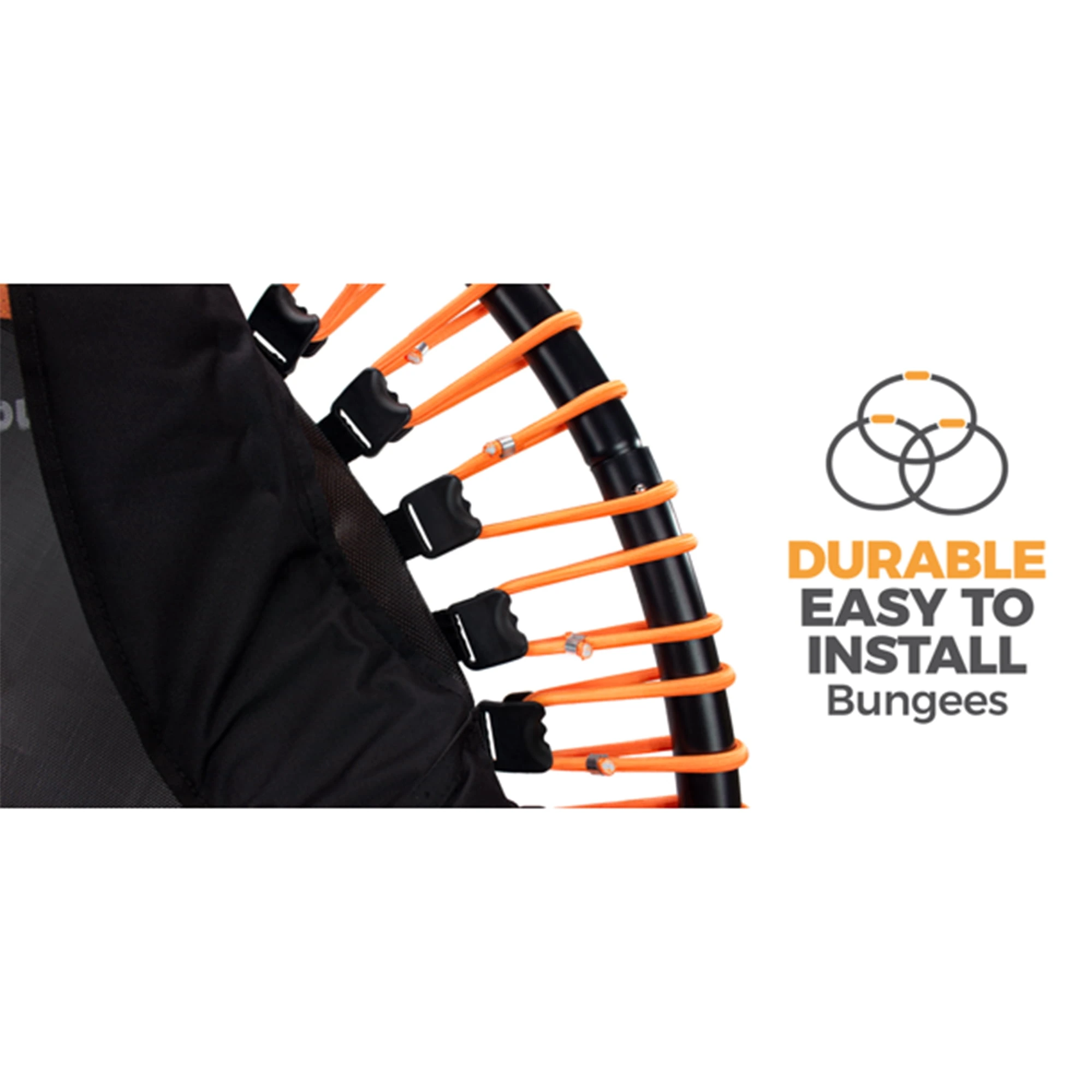 The Leaps & ReBounds Fitness Trampoline - Bungee Rebounder - Image 3